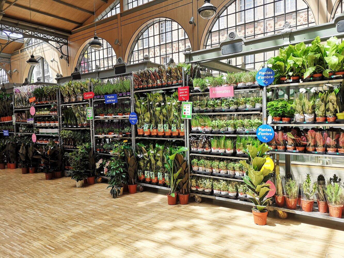 Plantes pour tous